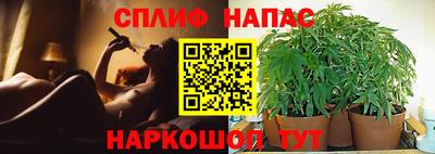 ГАЛЛЮЦИНОГЕННЫЕ ГРИБЫ Малоярославец